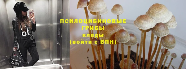 MESCALINE Заволжье