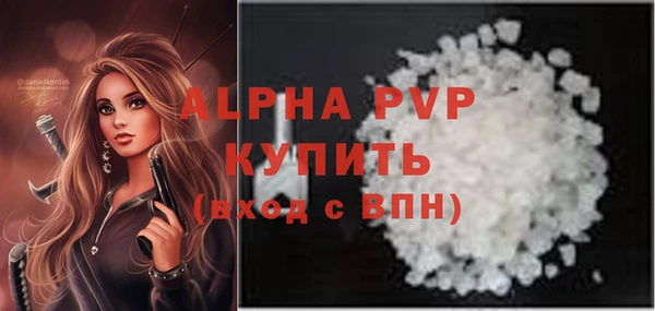 мдпв Елабуга