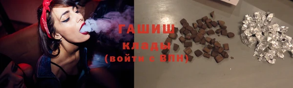 мдпв Елабуга