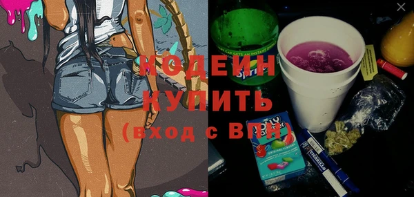 мдпв Елабуга