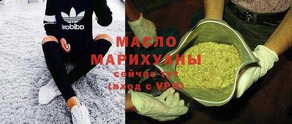 мдпв Елабуга