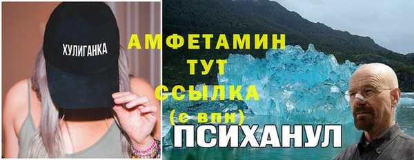 мдпв Елабуга