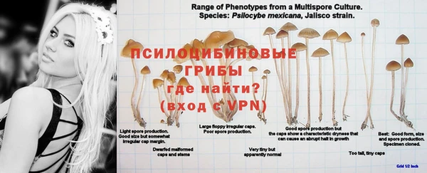 MESCALINE Заволжье