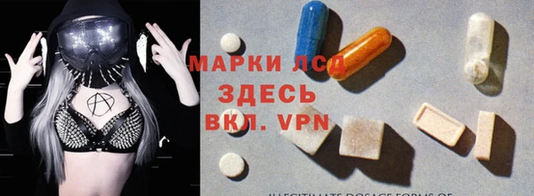 мдпв Елабуга