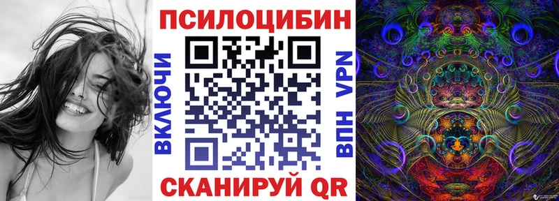 Купить закладки  Уржум  Псилоцибиновые грибы мицелий 